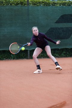 Bild 10 - NL VfL Westercelle - SVE Wiefelstede : Ergebnis: 8:1